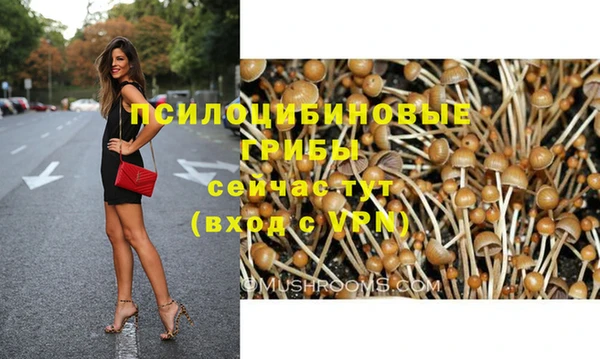 эйфоретик Нефтегорск