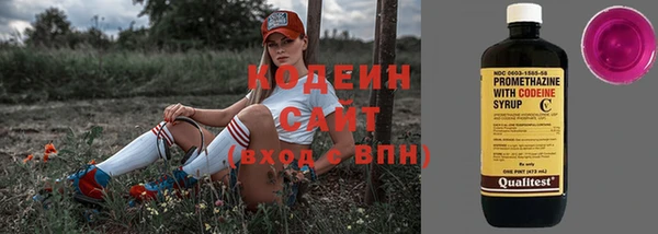 МДПВ Новозыбков