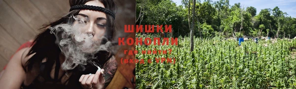PSILOCYBIN Новодвинск