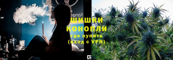 МДПВ Новозыбков