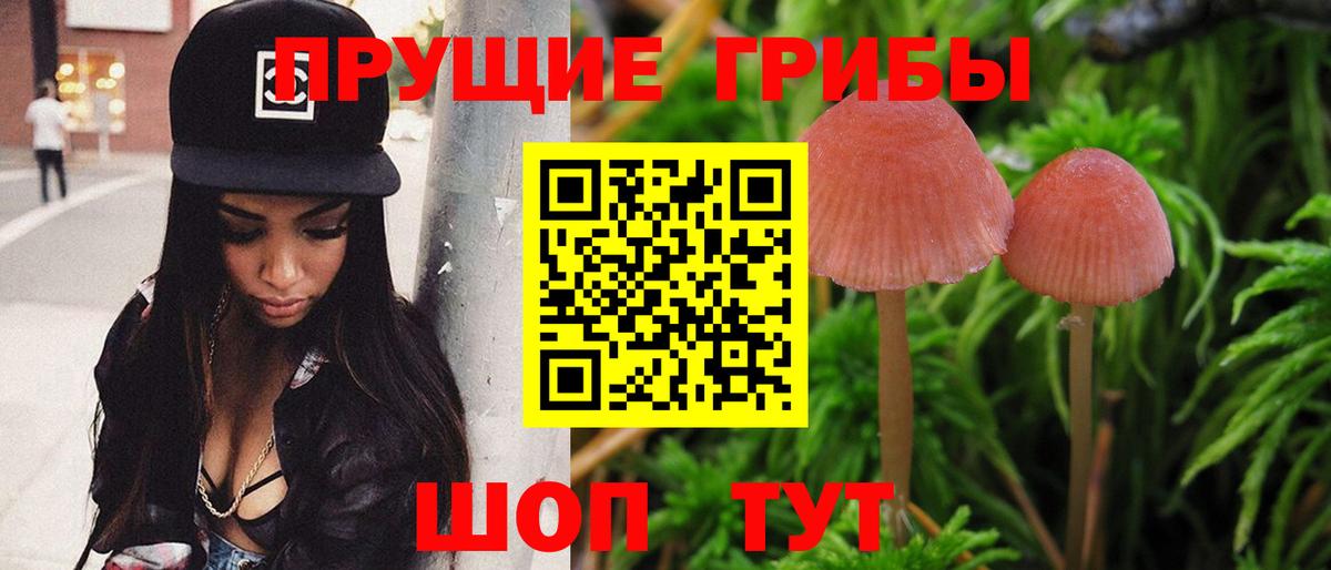 Галлюциногенные грибы Cubensis  Псилоцибиновые грибы MAGIC MUSHROOMS  Набережные Челны  Вход с VPN 